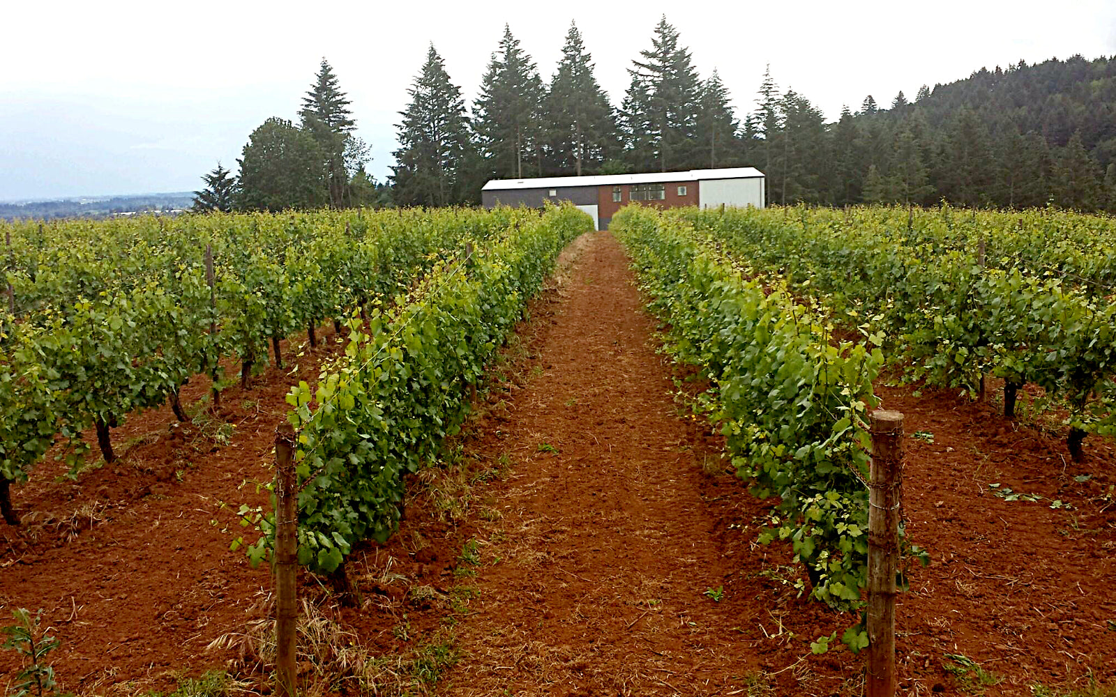 <strong>September Wine Pickup Party</strong>